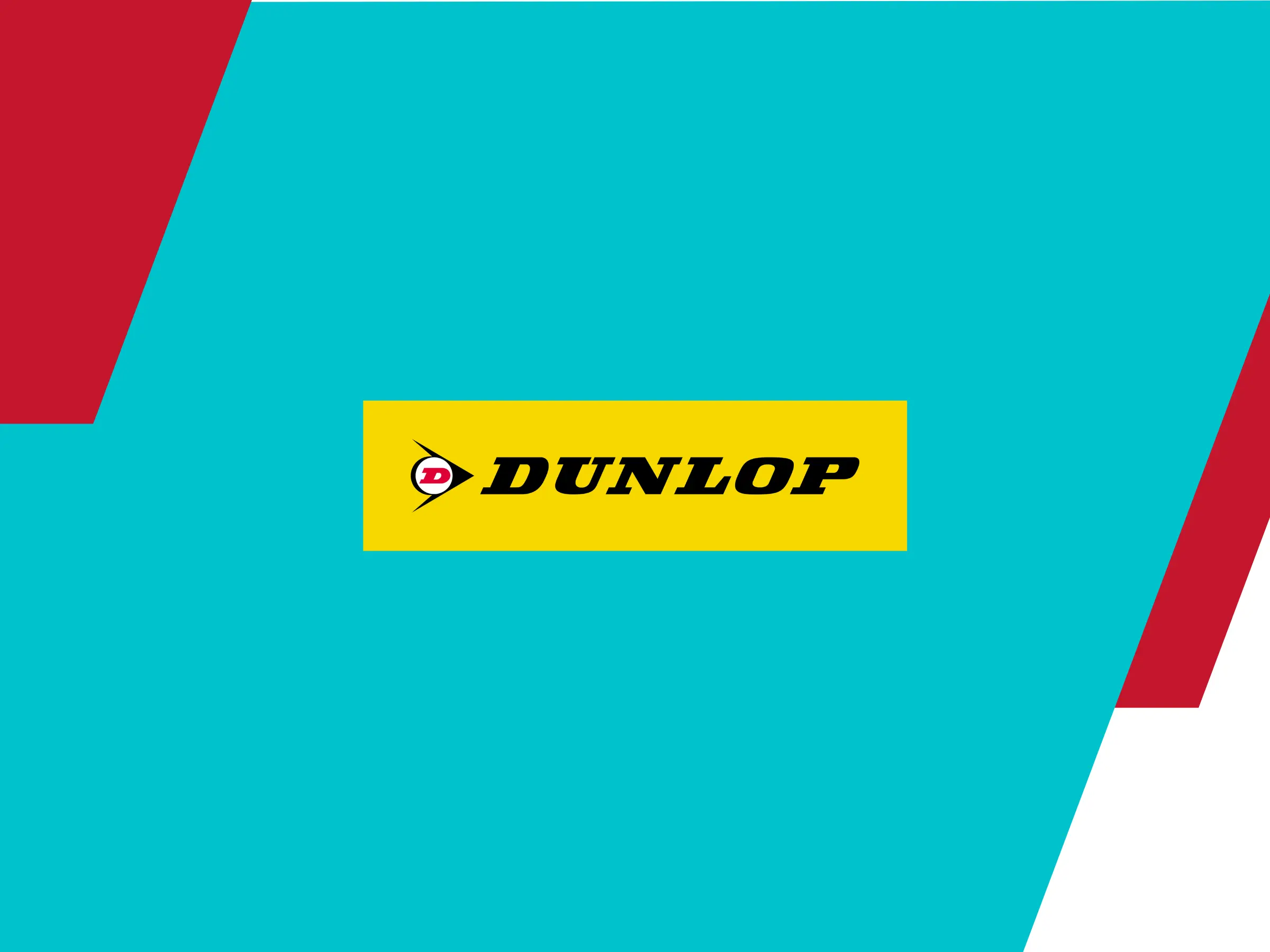 AnyConv.com__Dunlop SEO