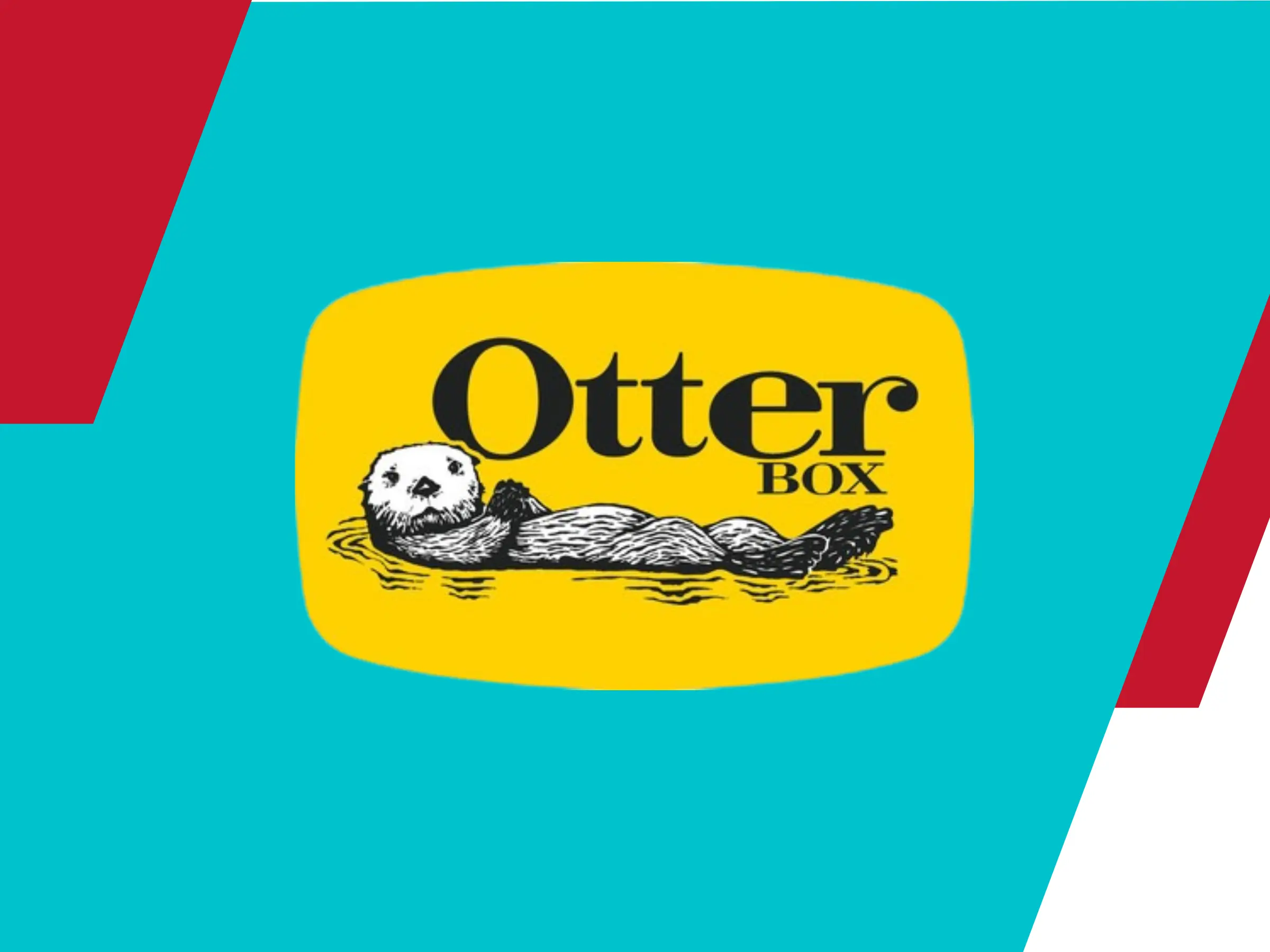 AnyConv.com__Otterbox SEO