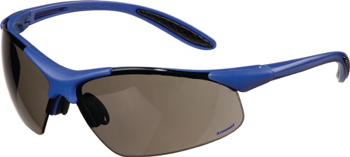 PROMAT Schutzbrille DAYLIGHT PREMIUM